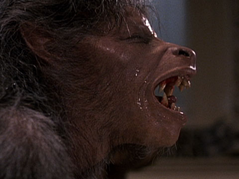 The Science of Lycanthropy: Werewolf Mythology